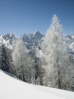 Snowy landscape 